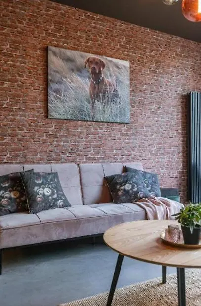 Vakantiehuis Loftlivinq@Sea Villa Middelkerke België